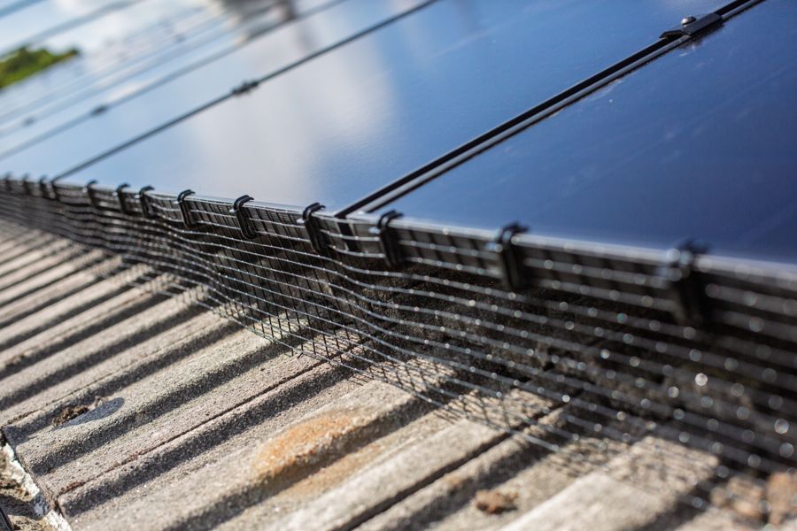 Close-up of the bird protection mesh fitted along the panel edge